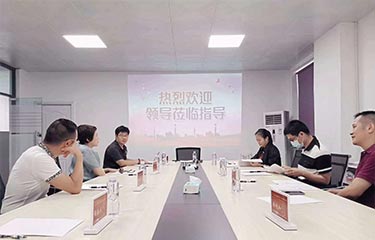 深圳美協(xié)親臨亮而彩視察指導(dǎo)工作!