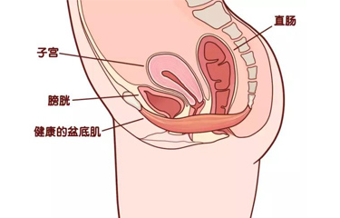 月子會所盆底肌儀器有用嗎？選擇月子會所有什么好處？
